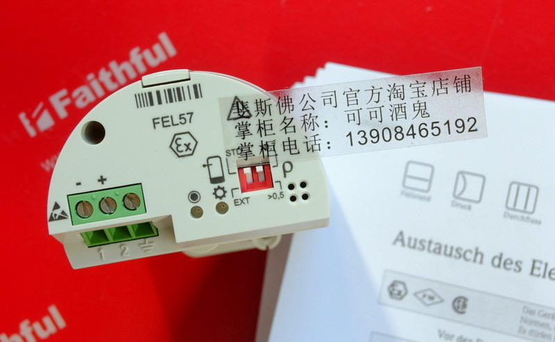 E H FEL57 ENDRESS HAUSER Electronic Plug-in 52002309 Endress Hauser