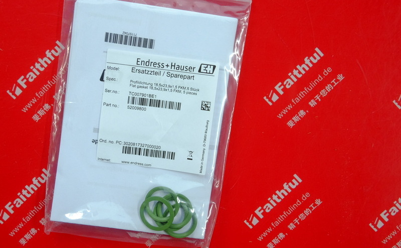 E H 52009800 ENDRESS HAUSER Flat Sealing Gasket Endress Hauser