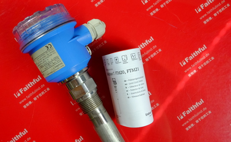 E H FTM21-AA242A ENDRESS HAUSER tuning fork level switch Endress Hauser FEM24