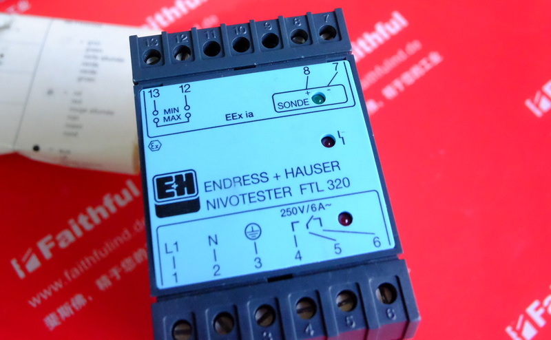 E H FTL320-F1A1 ENDRESS HAUSER Vibration Limit Detection 919929-0006 Endress Hauser