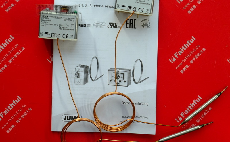 Jumo 60000211 JUMO New Temperature Sensor EM-5 300 602021//000